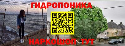 соль ск Будённовск